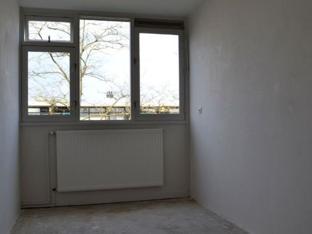 Spinaker , Amsterdam