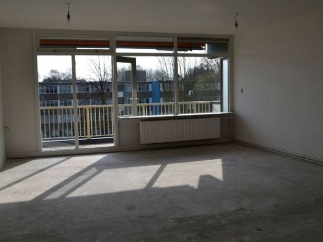 Spinaker , Amsterdam