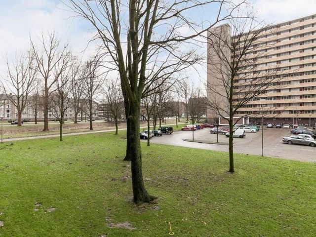 Langswater , Amsterdam