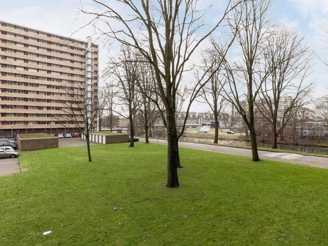 Langswater , Amsterdam