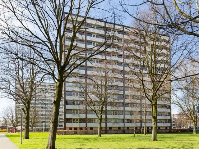 Roggekamp , 's-Gravenhage