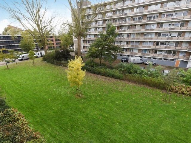 Zwedenburg , 's-Gravenhage