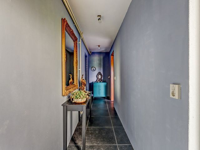 Mookhoek 51, Mookhoek