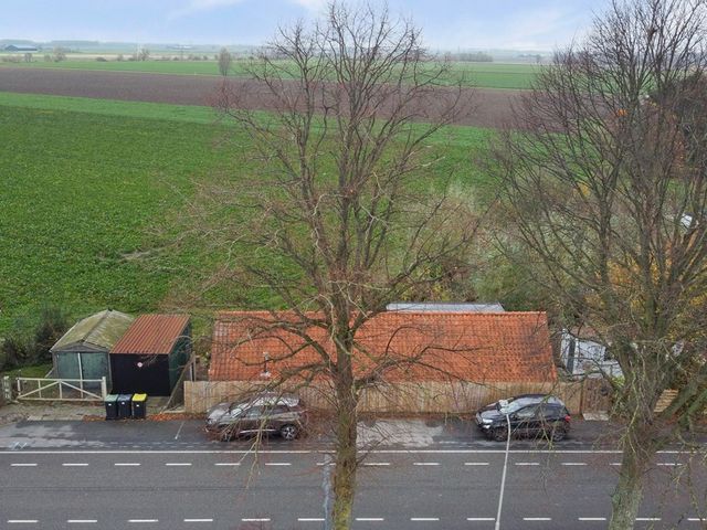 Mookhoek 51, Mookhoek