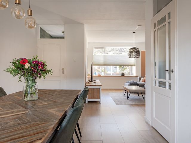 Rietzanger 92, Hoorn