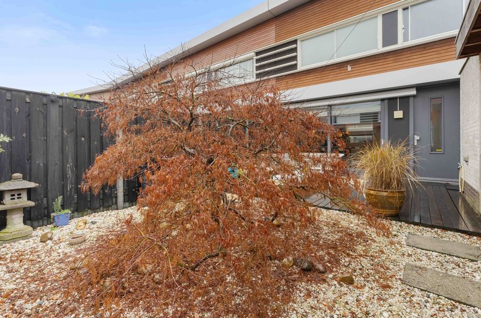 Catharinaplaatjes 26