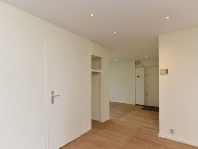 Denenburg , Den Haag