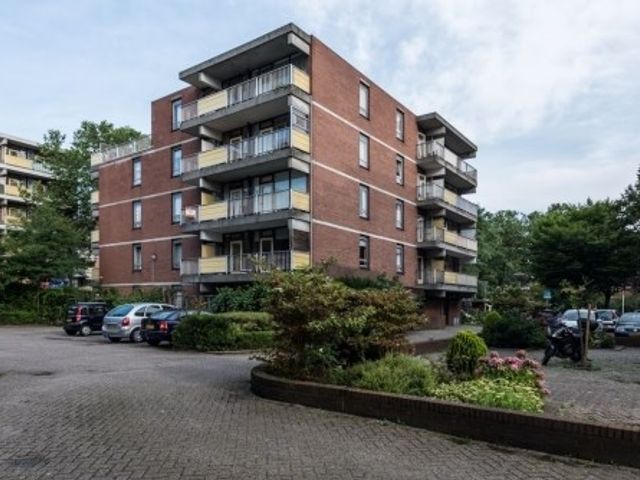 Melis Stokezijde , Den Haag