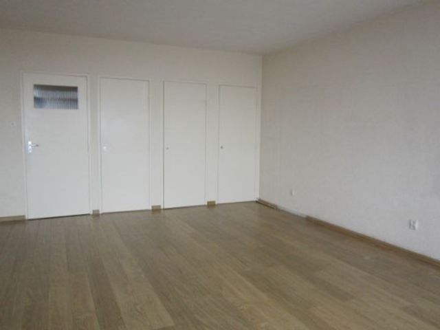 Pisuissestraat , Den Haag