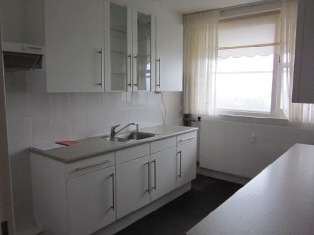 Pisuissestraat , Den Haag