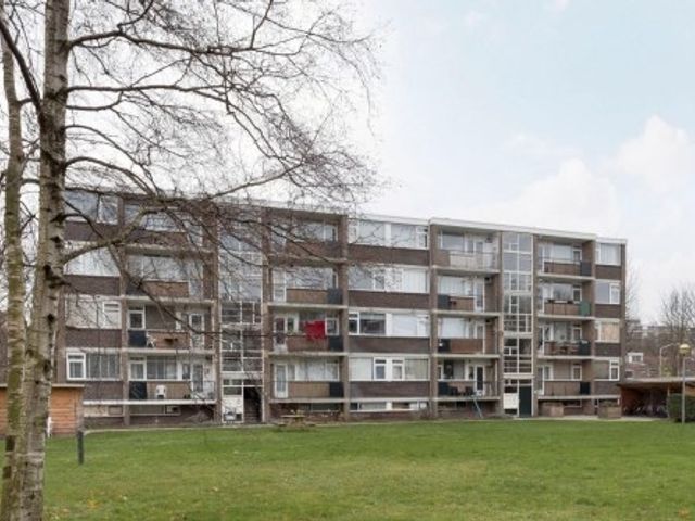 Mozartstraat , Leiden