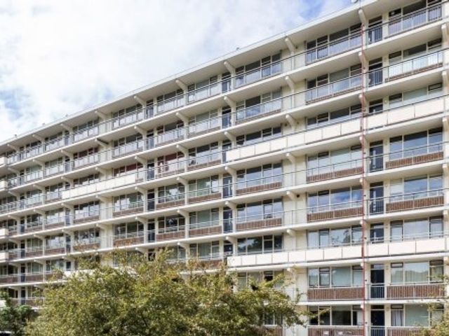 Arendshorst , Leiden