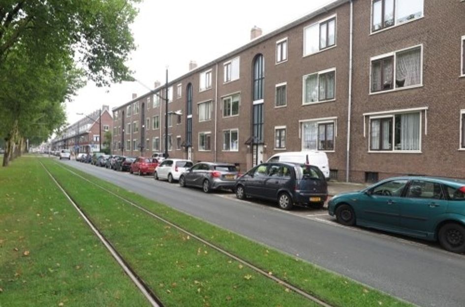 Groene Hilledijk 