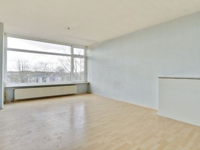 Tobias Asserlaan , Tilburg