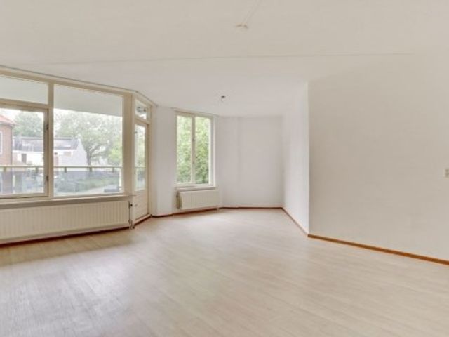 Anna Paulownahof , Tilburg