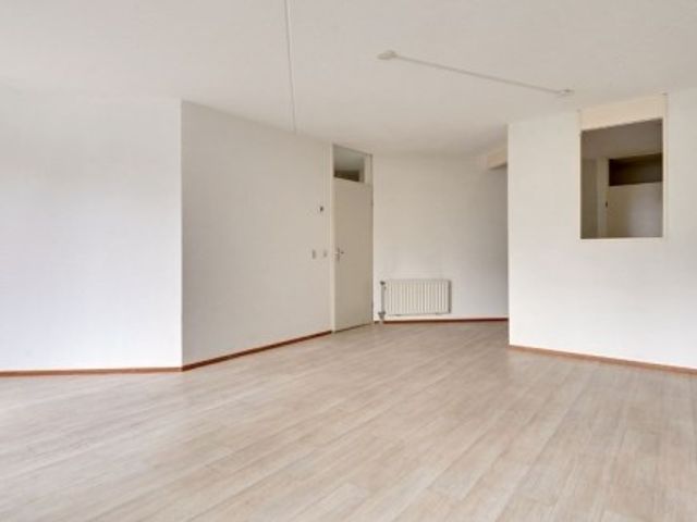 Anna Paulownahof , Tilburg