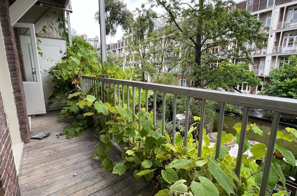 Eerste Helmersstraat 225 1