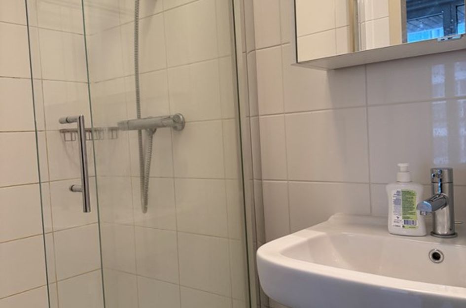 Professor de Moorplein 488