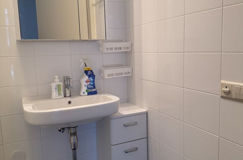 Professor de Moorplein 488