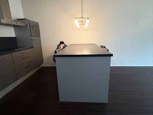 Professor de Moorplein 488, Tilburg