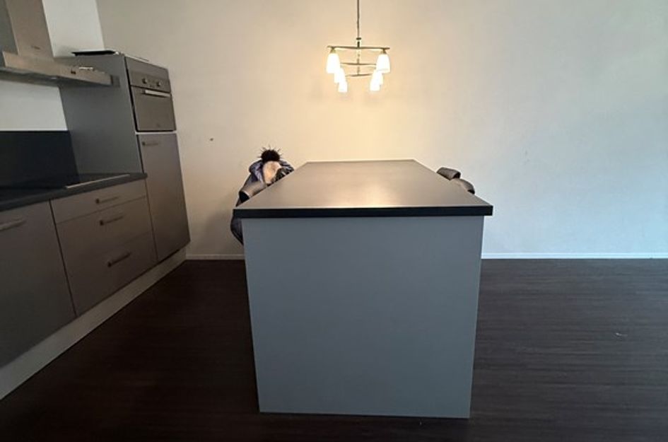 Professor de Moorplein 488