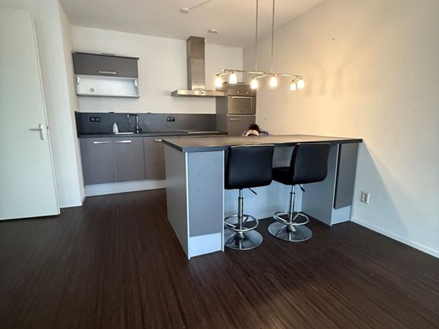 Professor de Moorplein 488, Tilburg