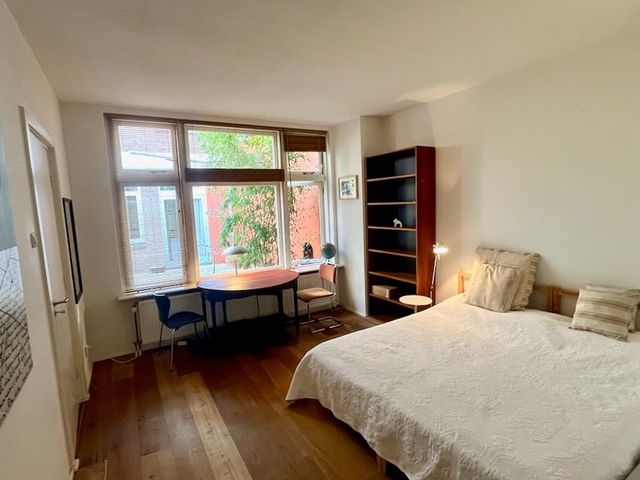 Lange Beestenmarkt 113B, Den Haag