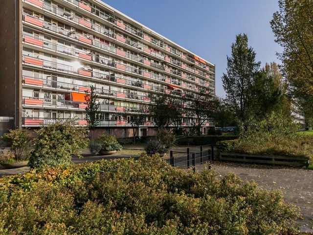 Trekvogelweg ONG, Amersfoort