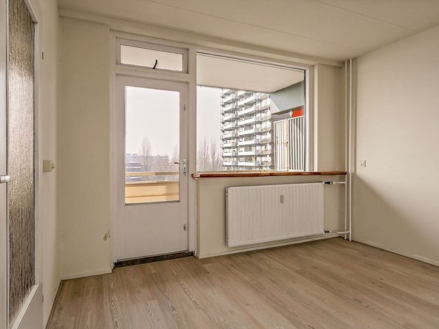 Groenhof ONG, Amstelveen