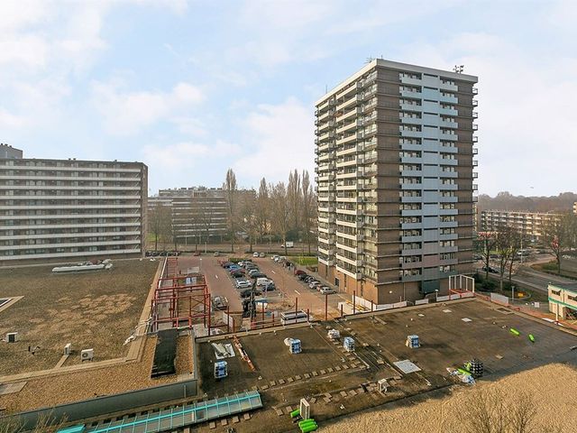 Groenhof ONG, Amstelveen