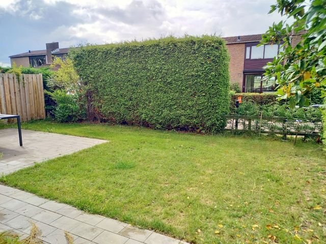 Lamsoor 5, Nieuwvliet