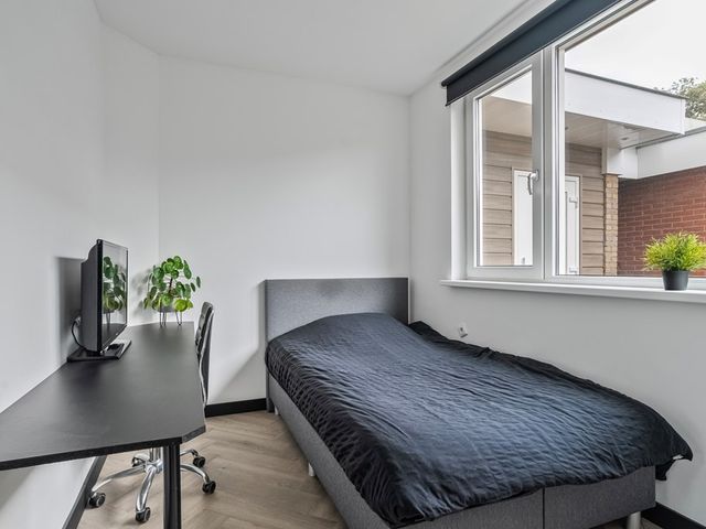 Berkenlaan 15, Hardenberg