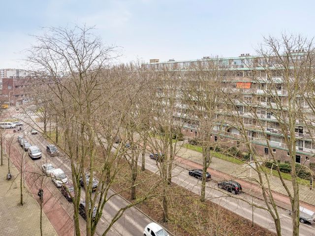 Volendamlaan 1080, Den Haag