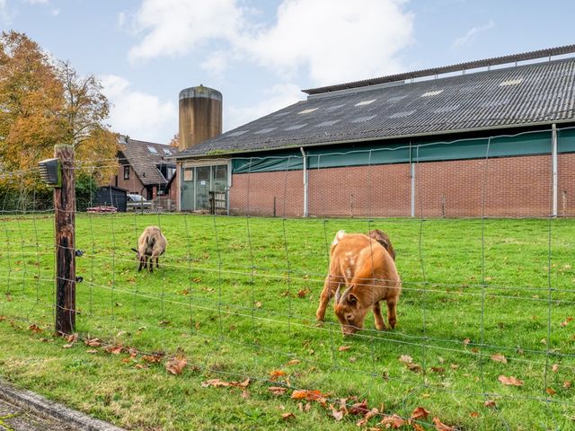 Broekdijk 44, Bruchterveld