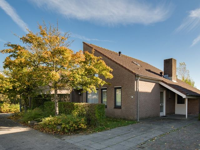 Crox Houcke 81, Nieuwvliet