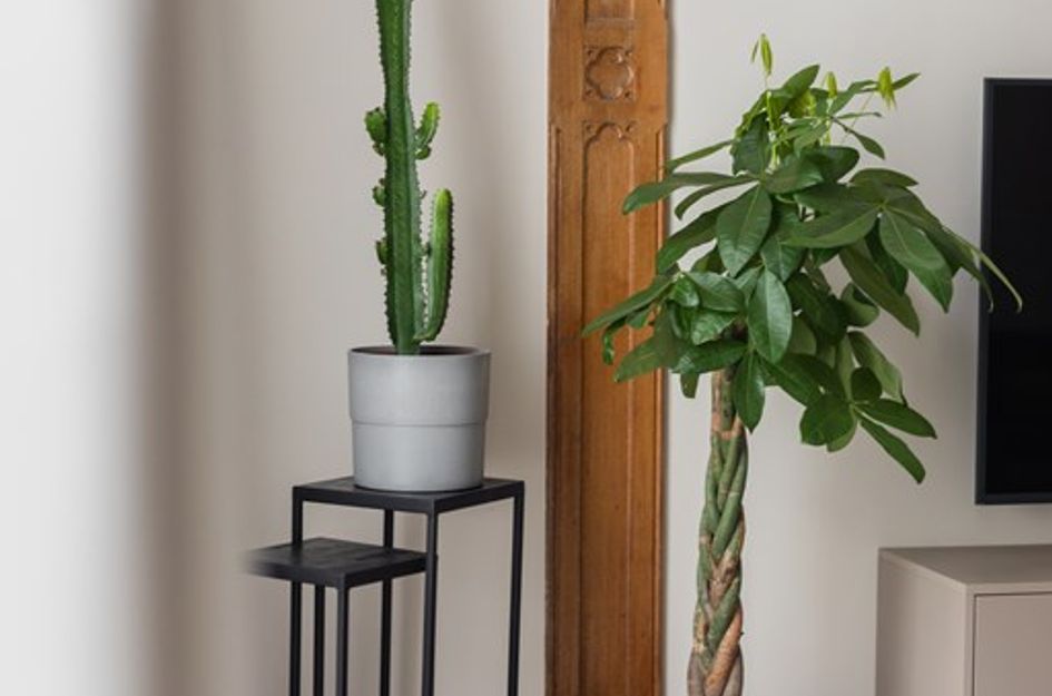 Bezuidenhoutseweg 93B