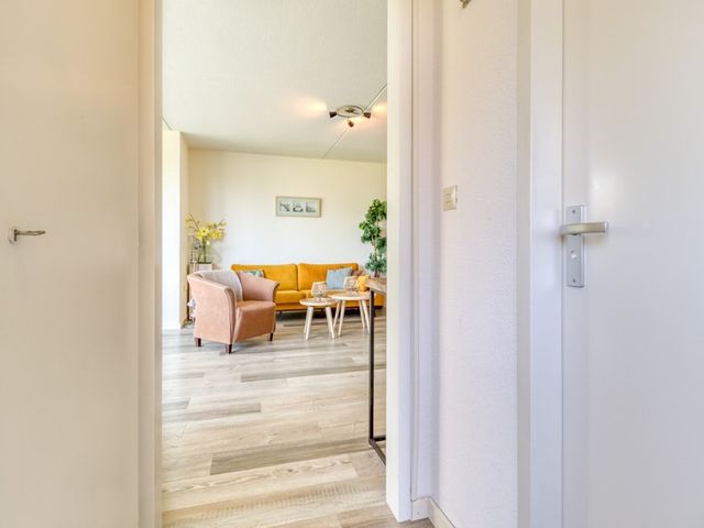 Heggerank 74, Nieuwvliet