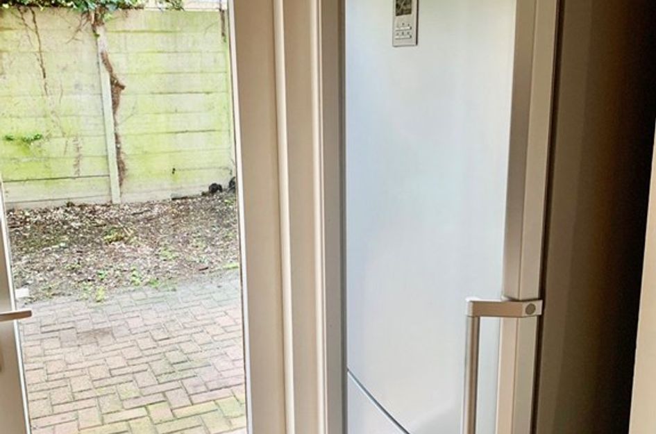 Pieter Van Den Zandestraat 36kop