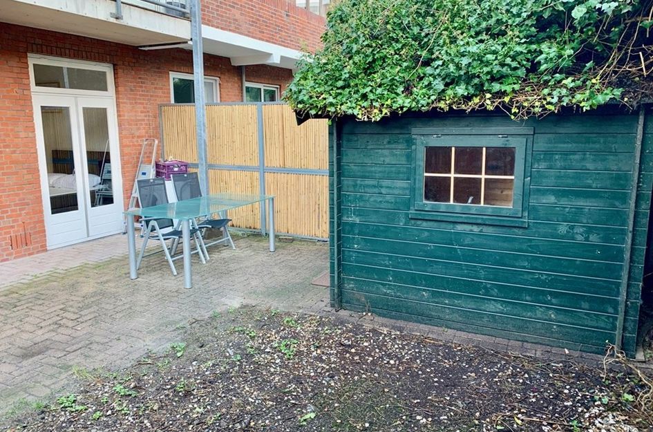 Pieter Van Den Zandestraat 36kop