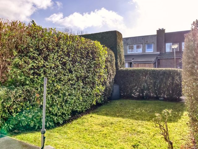 Lepelblad 62, Nieuwvliet