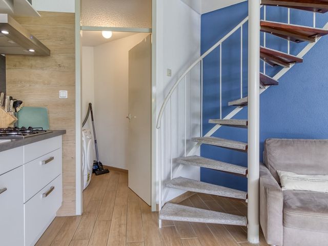 Liguster 59, Nieuwvliet