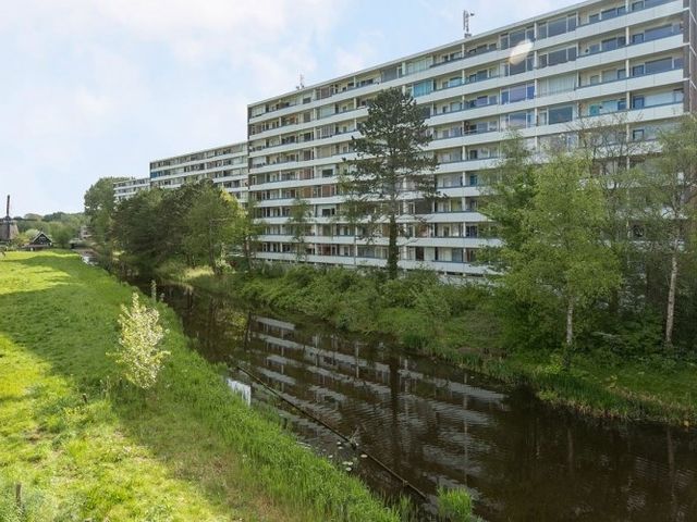 Honthorstlaan , Alkmaar