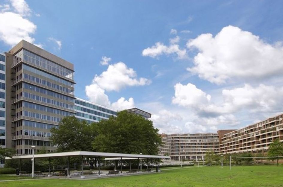 Bos en Lommerplantsoen 