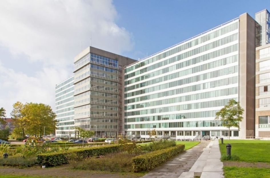 Bos en Lommerplantsoen 