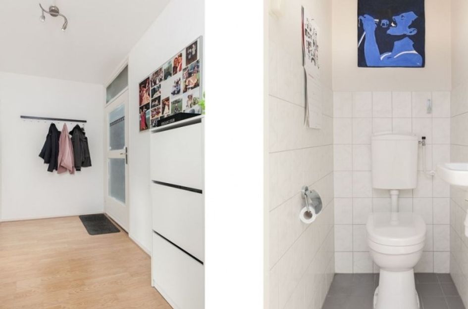 Bos en Lommerplantsoen 