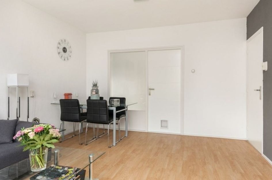 Bos en Lommerplantsoen 