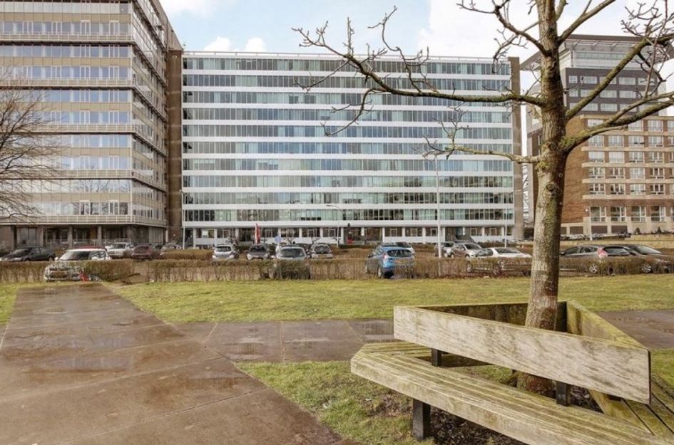 Bos en Lommerplantsoen 