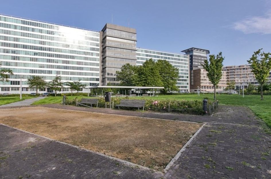 Bos en Lommerplantsoen 