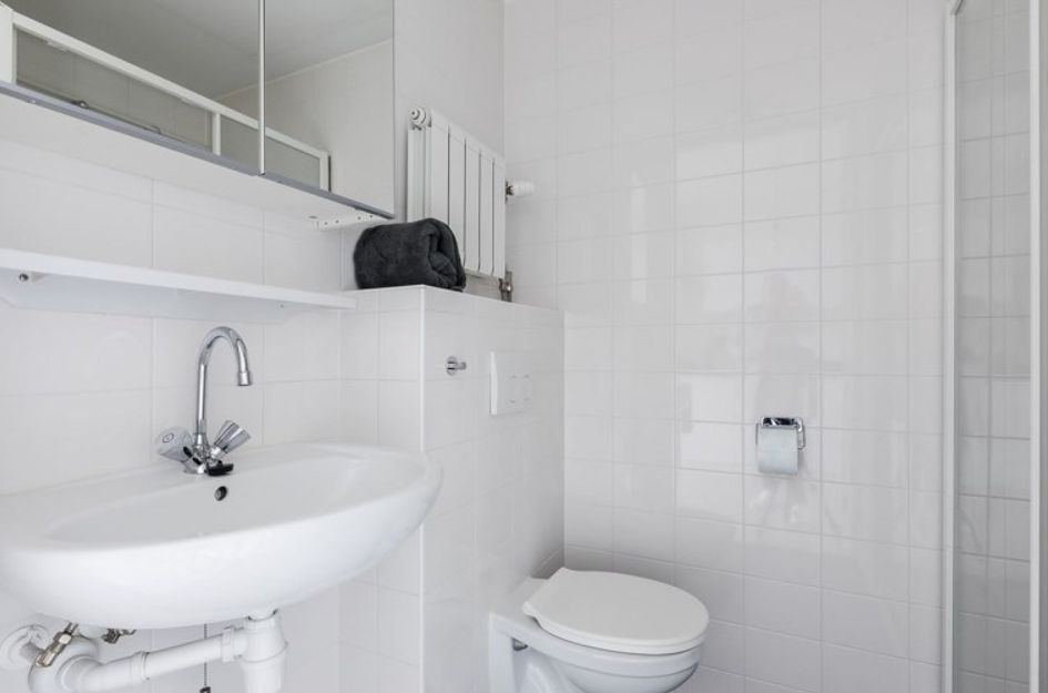 Bos en Lommerplantsoen 