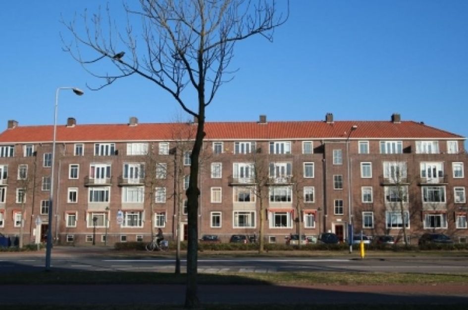 Jacob van Ruysdaelstraat 